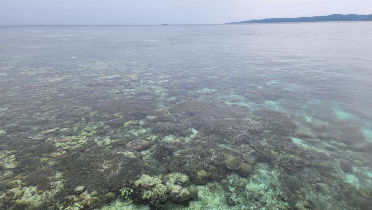 Terimakasih Homestay Pulau Mansuar Exterior foto